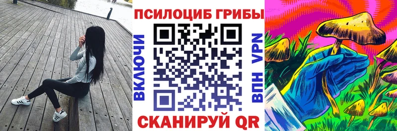 мега вход  Ясный  Псилоцибиновые грибы Magic Shrooms 